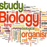 Biology Quiz Questions Answers
