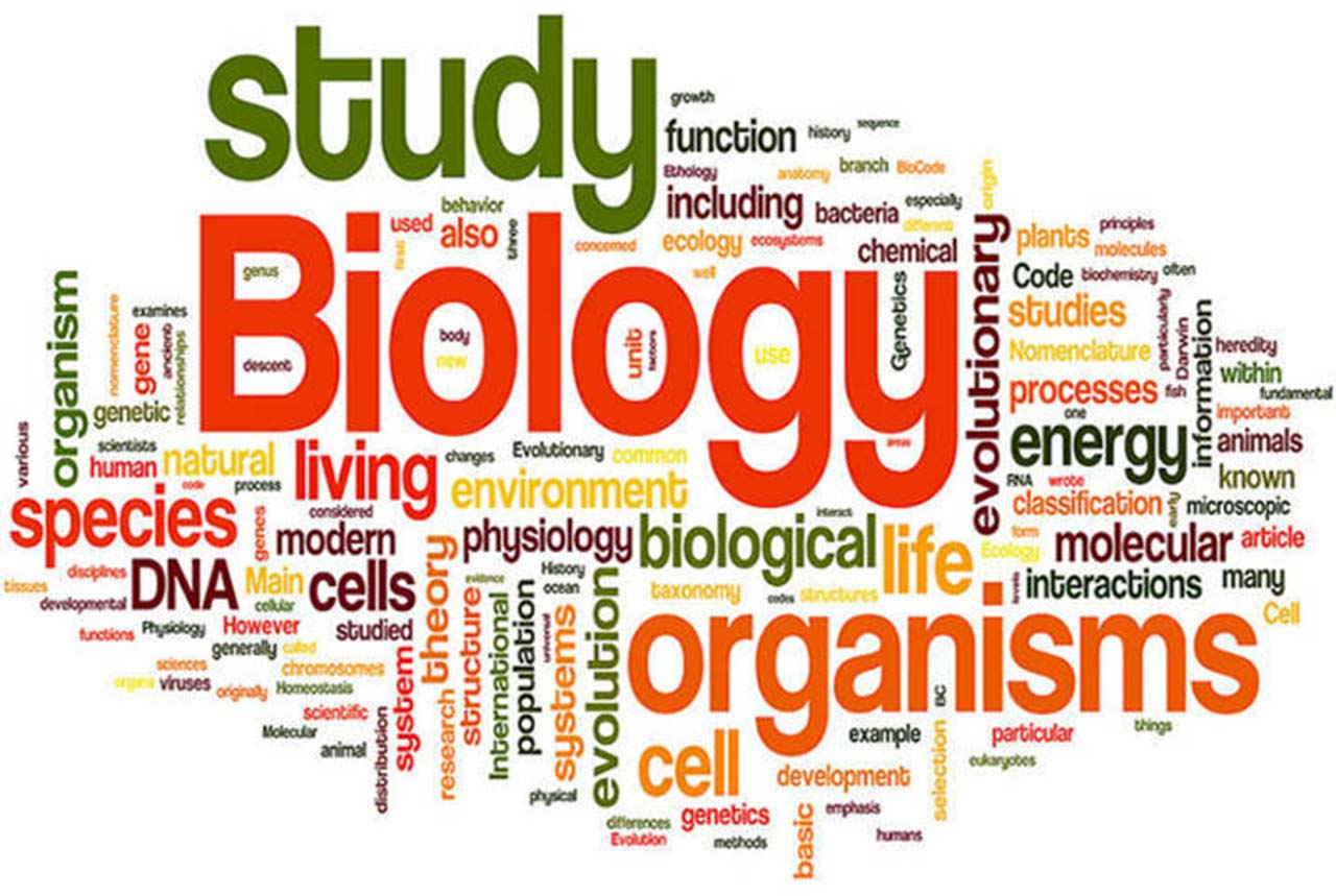 120 Biology Quiz Questions Answers - Learn about Biology - q4quiz