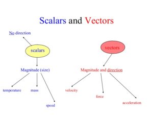Physical Quantities – Scalars & Vectors