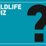Wildlife Quiz Question With Answers - Know about Wildlife