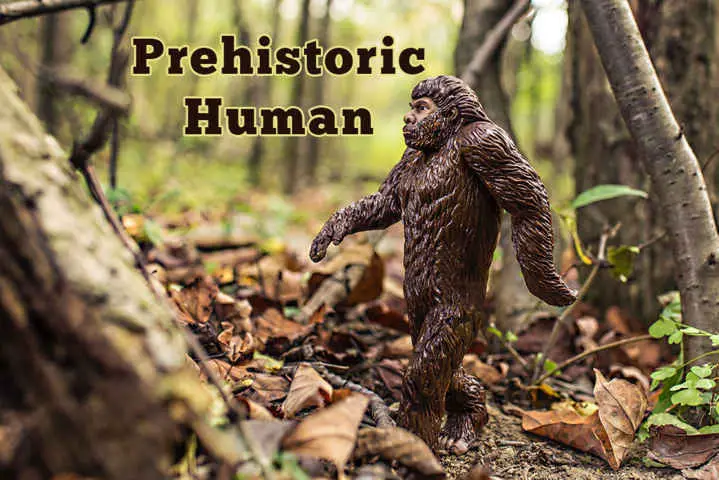 Prehistoric Human Quiz Questions and Answers
